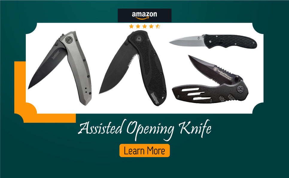 assisted opening knife