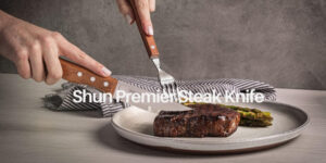 steak knife set