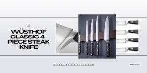 japanese steak knives