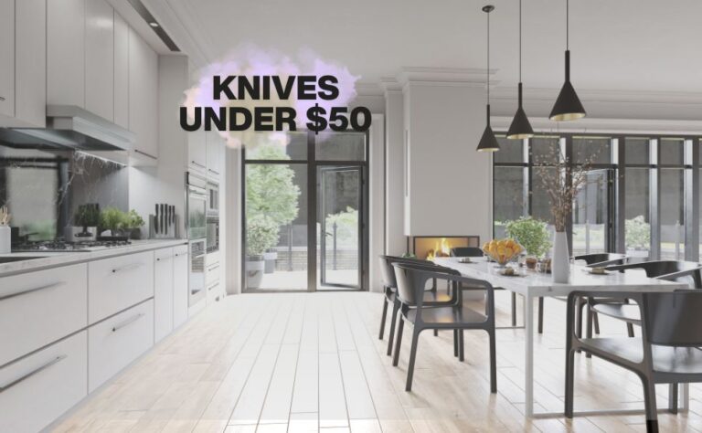 Knives Under $50 for Every Home Chef